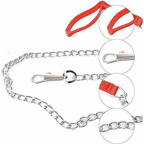 Chaîne pour chien 4 mm – Rouge, longueur 1,50 cm - الصورة 3